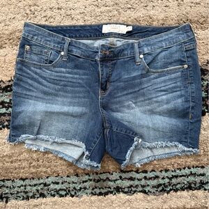 Torrid Blue Jean Shorts Distressed Vintage